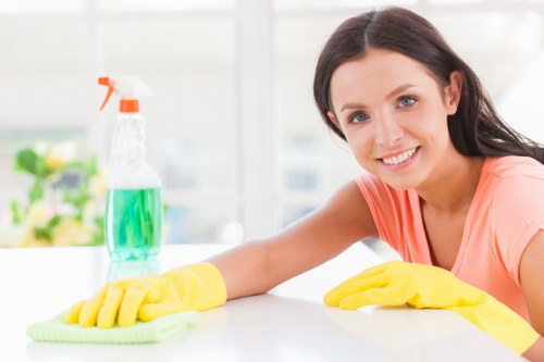 Illustration of cookie settings for Cleaner Greenwich website