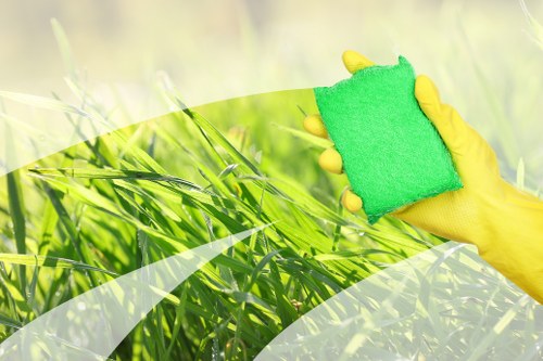 Professional house cleaning in Greenwich living room