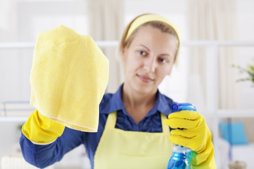 Carpet cleaning service in Greenwich treating stains and refreshing fibers