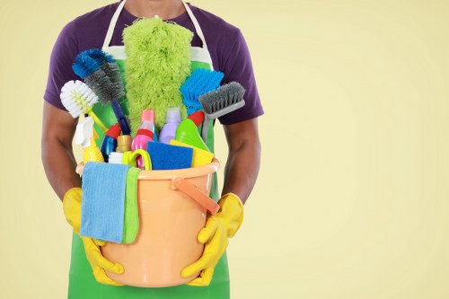 Professional home cleaners in Greenwich carrying out domestic cleaning