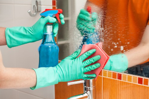 Professional domestic cleaning in Greenwich for a tidy family living room