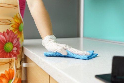 Professional cleaners in Greenwich cleaning a modern living room