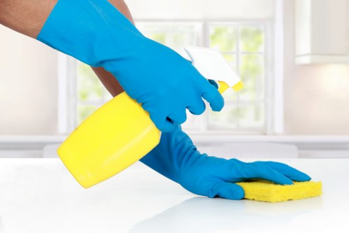Eco-friendly office cleaning in Greenwich with attention to detail