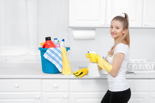 Detailed Greenwich oven cleaning service with removable racks and trays
