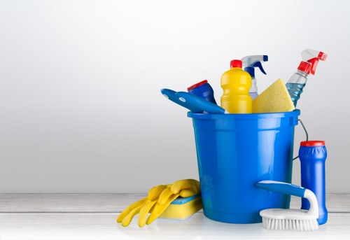 Greenwich cleaner team checking products and equipment for safety