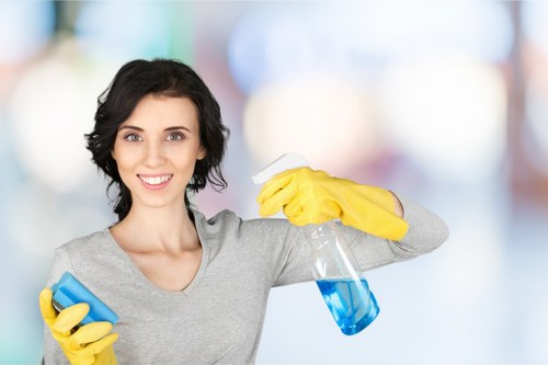 Commercial carpet cleaner in Greenwich for office flooring