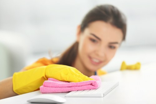 Local upholstery cleaning process for sofas and armchairs