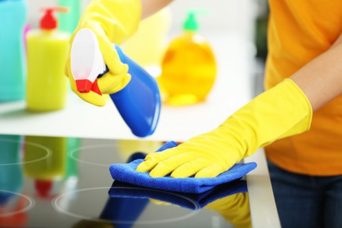 Professional pet stain and odour removal for carpeted living rooms in Greenwich