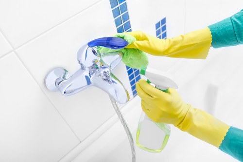 Cleaner Greenwich team supporting homes and offices in the local area
