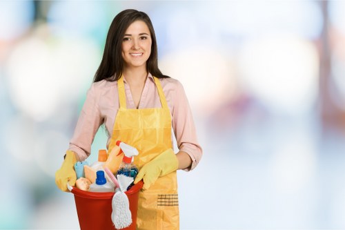 Deep cleaning in Greenwich for bright and hygienic living spaces