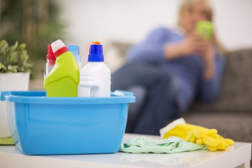 Professional Greenwich cleaner preparing safe cleaning tools and PPE