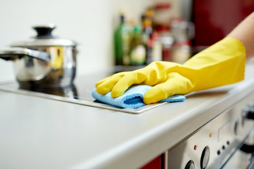 Screen-reader and keyboard navigation support on a local cleaning website