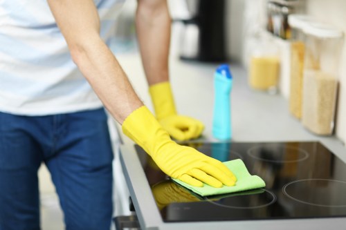 Bathroom cleaning during an end of tenancy service in Greenwich