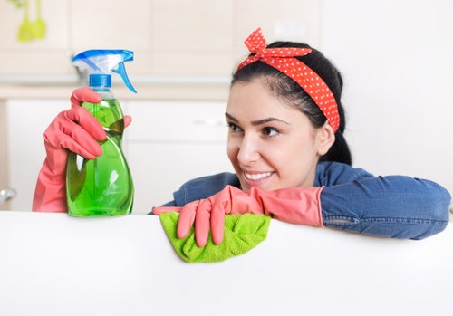 Domestic cleaning service for a Greenwich household