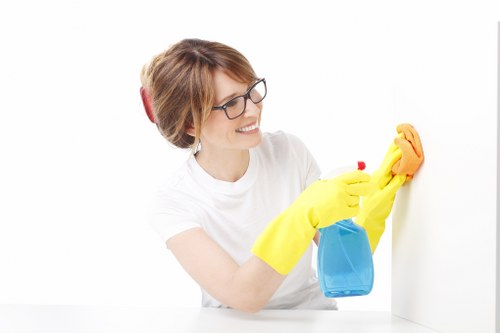Professional cleaner working in a modern Greenwich property