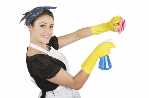 Kitchen deep cleaning during a one off cleaning service in Greenwich