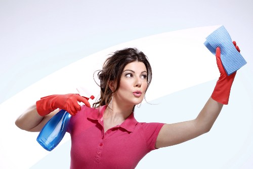 Cleaner Greenwich service highlighting reliability and thorough standards