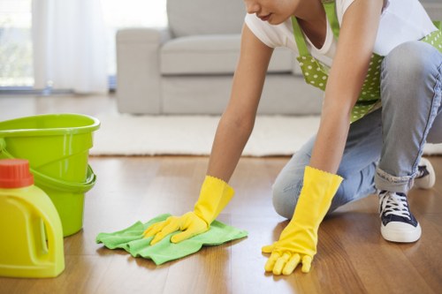 Cleaner maintaining a tidy living room in Greenwich