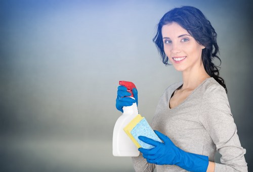 Detailed cleaning service focused on quality and attention in Greenwich