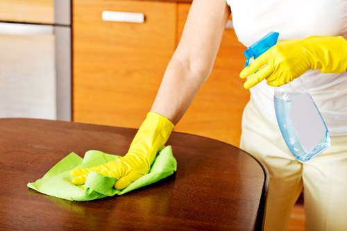 Deep cleaning services in Greenwich for refreshed interiors