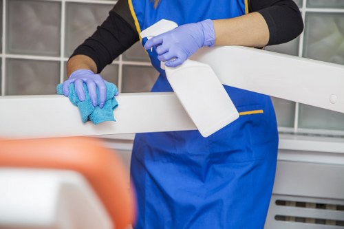 Professional cleaner Greenwich supporting a healthy environment